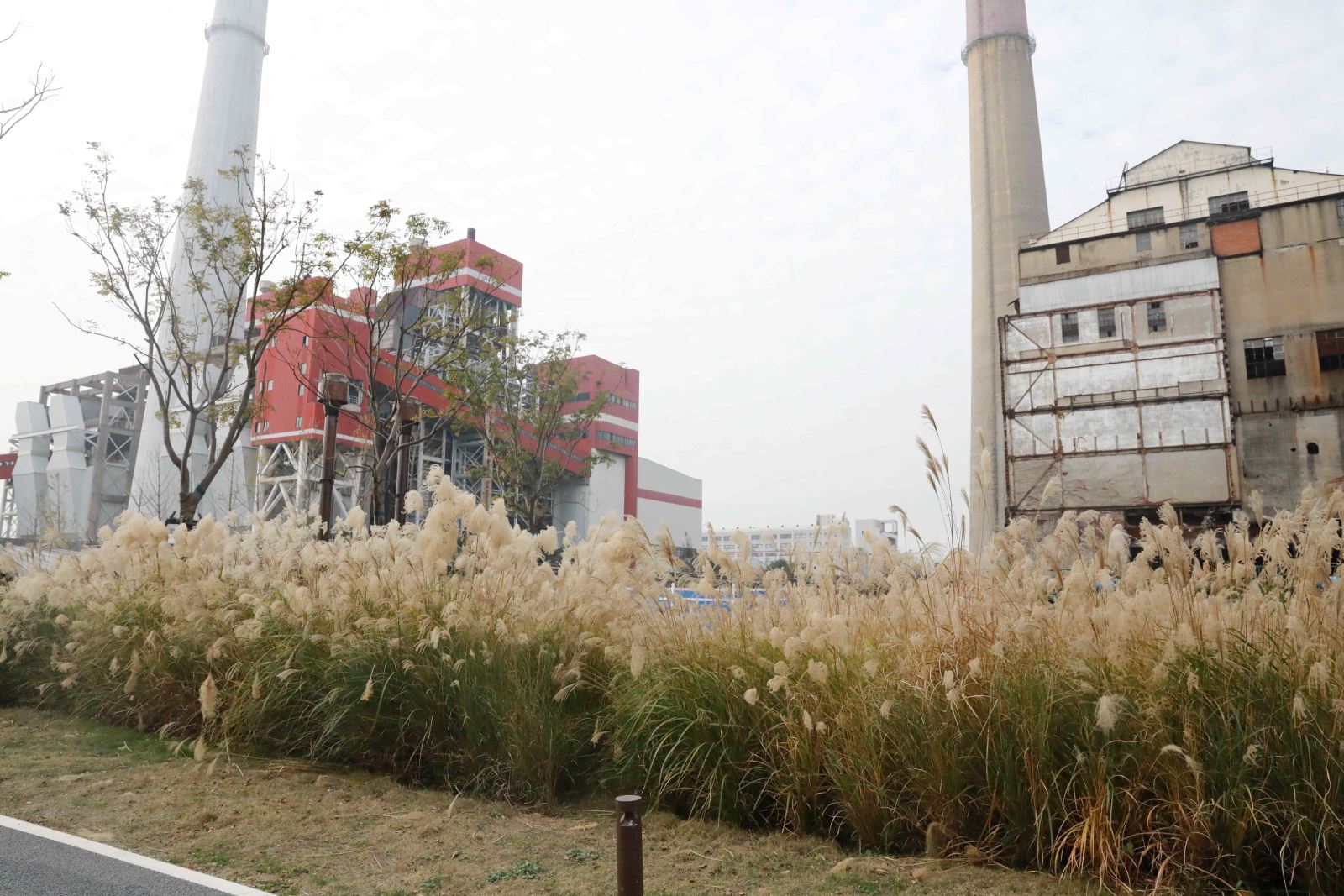 ​bat365中文官网入口部门工会组织教职工健步走活动